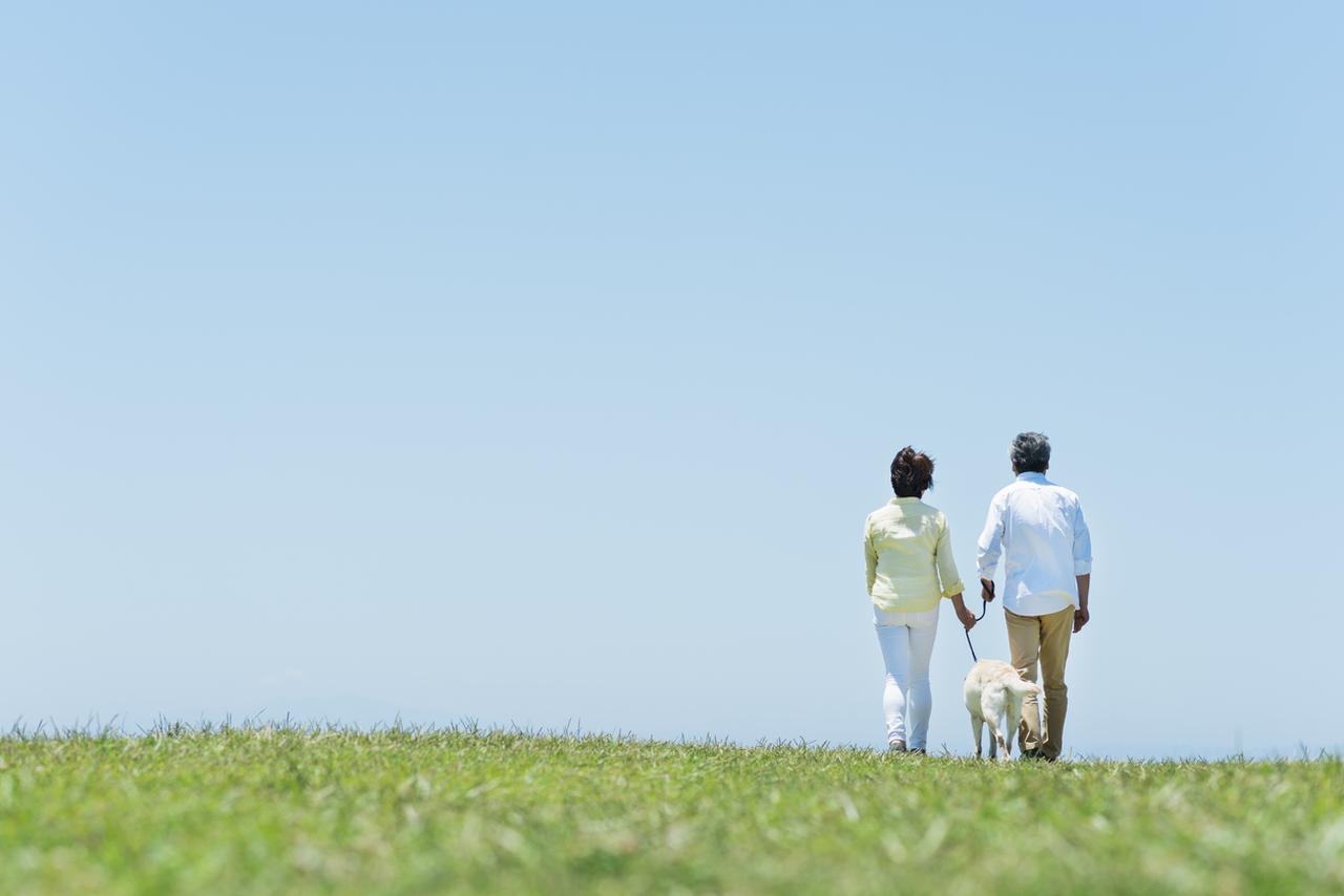 画像: 画像:iStock.com/seven