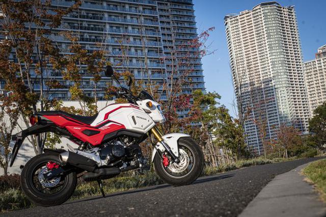 画像1: グロム(GROM)のディメンションは大型バイクをそのまま『小さくした』みたい?