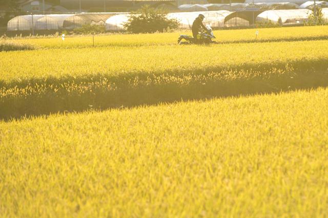 画像5: Vストローム1000XTがくれるもの
