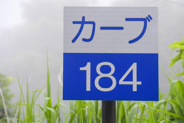 画像3: 一度は走るべき連続185コーナー