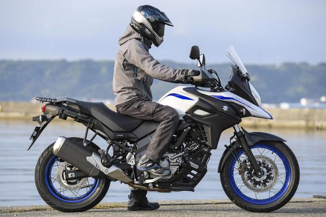 画像1: ライダー身長:176cm