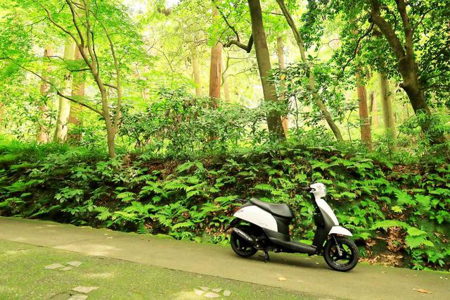 画像4: 原付50ccスクーターで地元の知らない世界と出会う