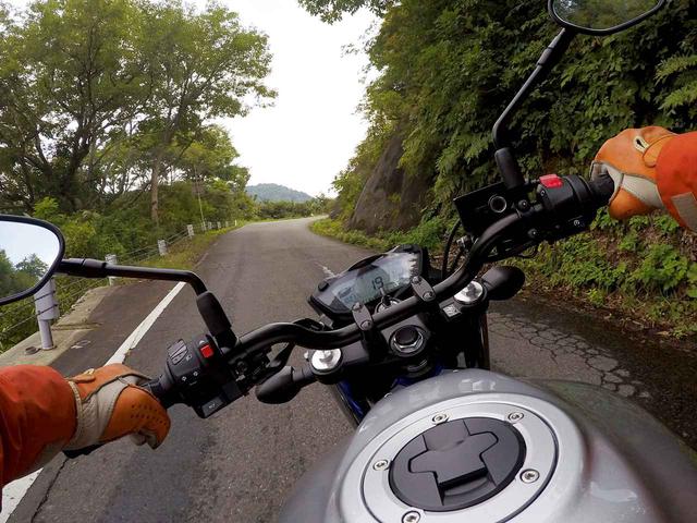 画像1: バイクに乗っているときに感じる恍惚感と集中力