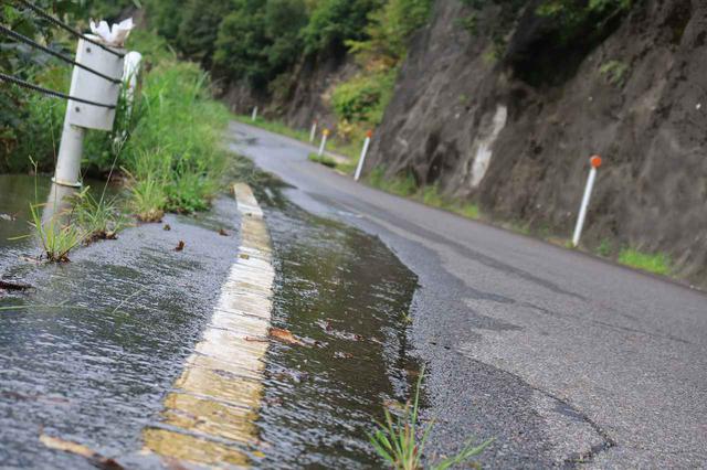 画像3: 絶対に行っちゃダメと言いたい「酷道352号線 樹海ライン」
