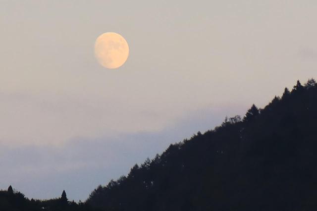 画像2: たくましい顔、頼もしいジクサー150
