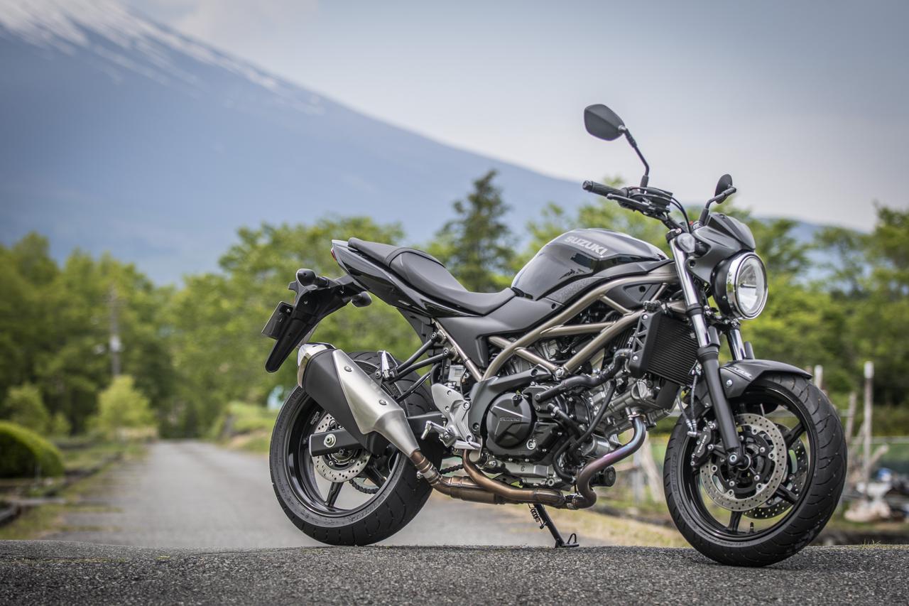 画像: スズキ『SV650』ってどんなバイク？ 燃費や足つき性、スペックの他、おすすめポイントや装備を解説します！【スズキのバイク！の新車図鑑▶大型バイク編／SUZUKI SV650（2022）】 - スズキのバイク！