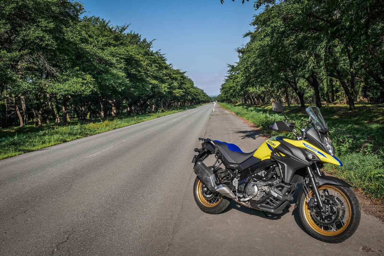 画像5: Vストローム650XTとのラストランも大詰めに……