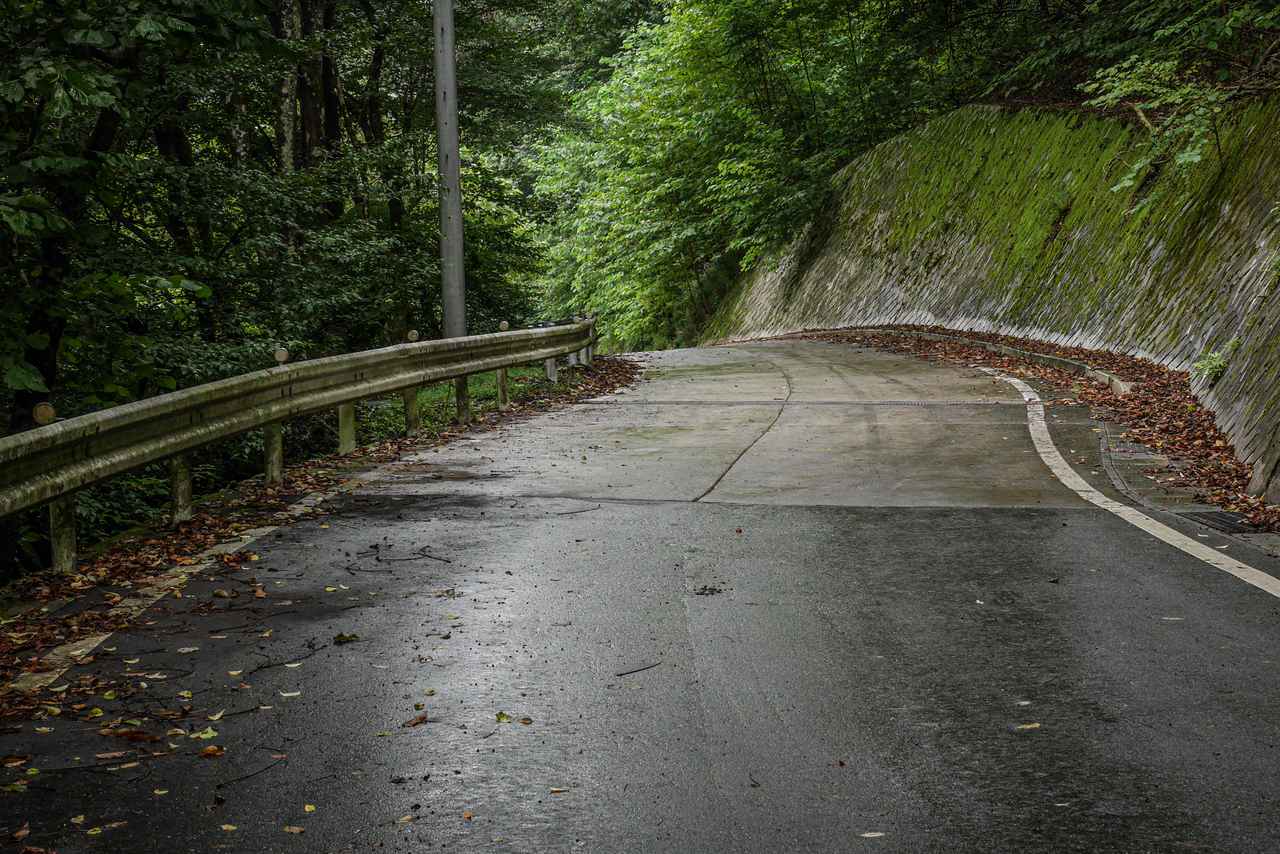 画像5: Vストローム250SXの実力を知りたい