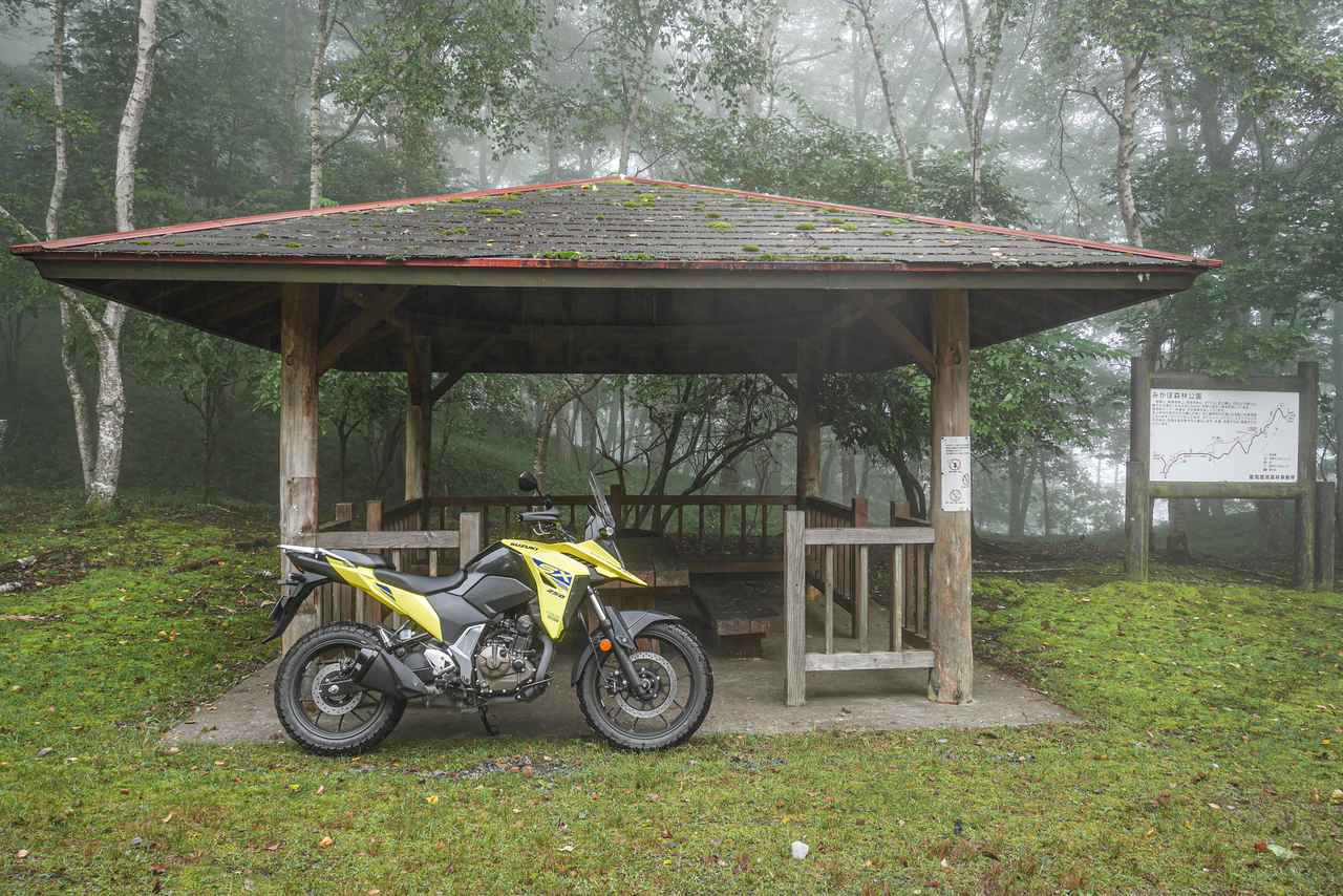 画像1: Vストローム250SXの『性能』があればこその話だけど