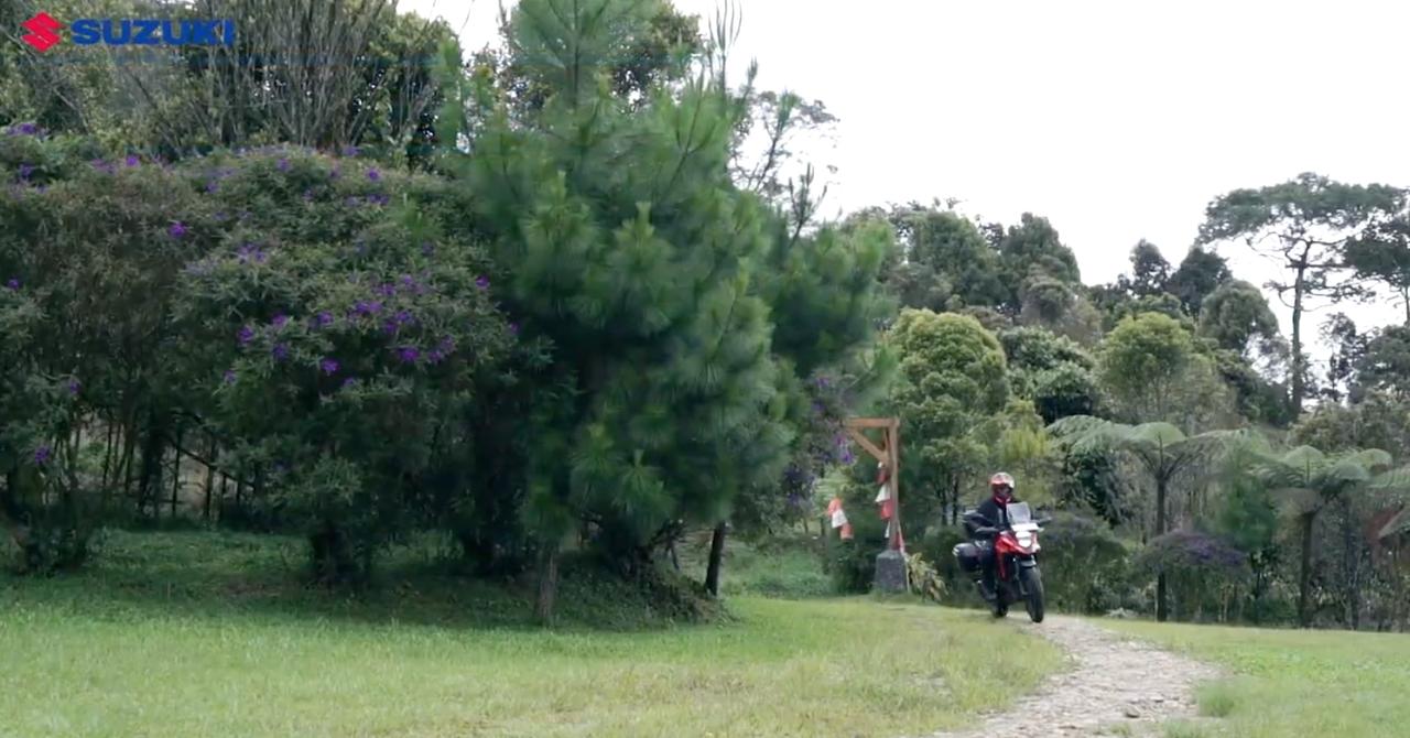 画像3: 焚き火とバイク、静かな夜。ソロキャンプで分かるVストローム250SXのマルチ性能