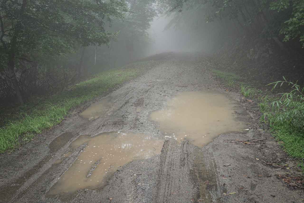 画像: ド雨の林道に『Vストローム250SX』で突撃してみたらどうなるのか? - スズキのバイク!
