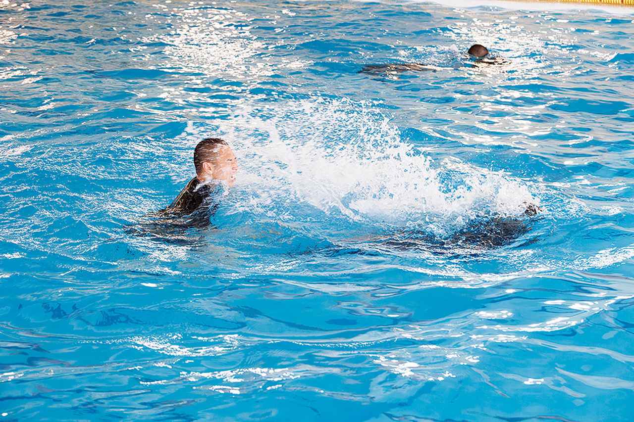 画像: 水泳訓練では長時間水中で活動するための体力はもちろん、パニック状態になった要救助者の救出法なども学び、総合力を身に付ける