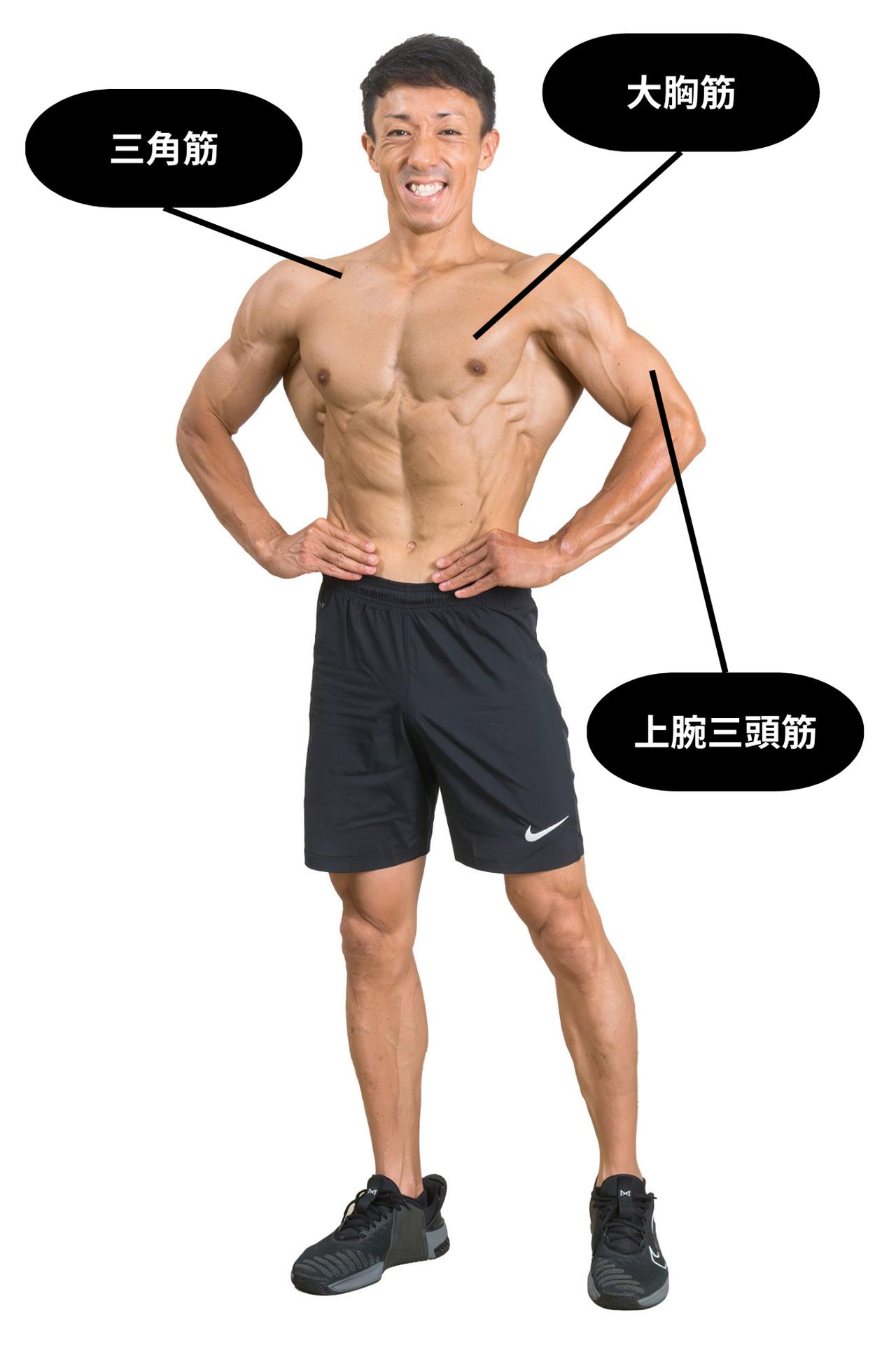 画像1: 自衛隊式：上半身を鍛え上げろ！大胸筋・上腕三頭筋・三角筋に効くトレーニング3種