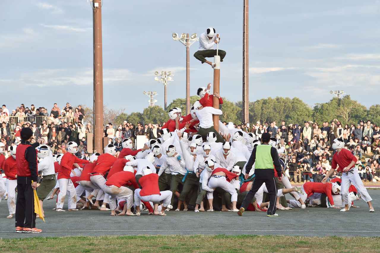 画像: 開校記念祭で行われる棒倒し。準備の段階から入念に作戦を立て、他チームの練習を“偵察”するなど、各チームが勝利に向けて情熱をささげる