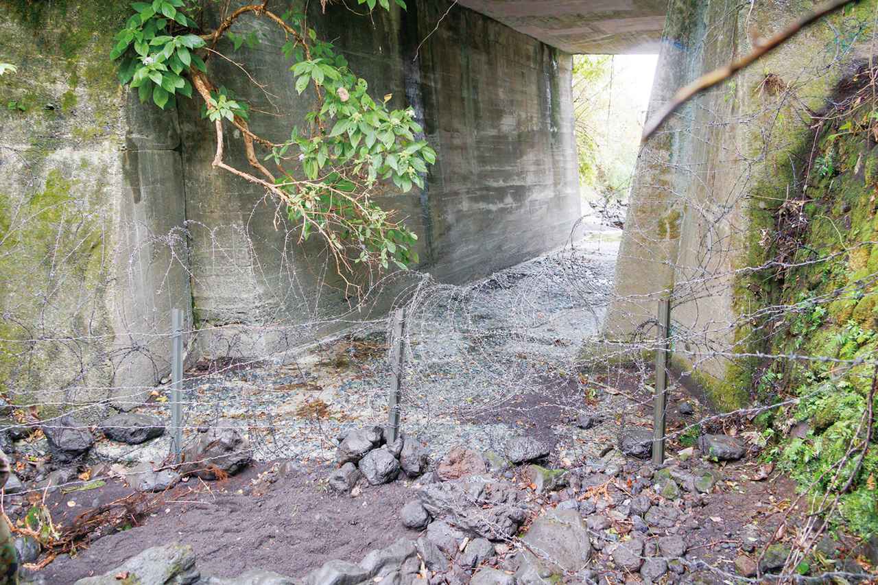 画像: ⑥有刺鉄線で対人障害を設置:陣地近くの開けた場所に設置された対人障害。有刺鉄線を何重にも張りめぐらして敵の侵入を防ぐ