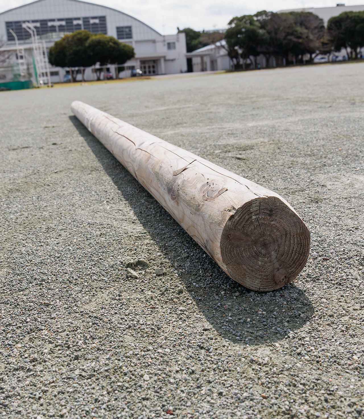 画像: 棒引き競技に使うのは、長さ約4メートル、直径約10センチメートルの木の棒