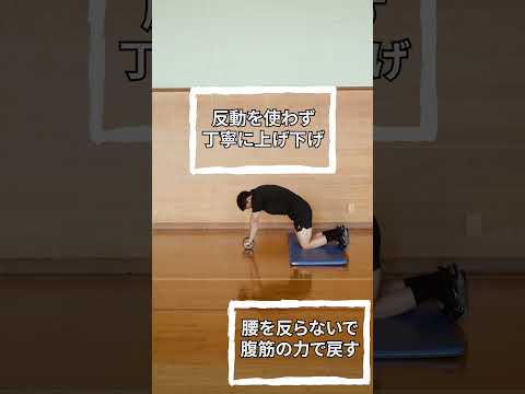 画像: 「アブローラー」【MAMOR 2026年9月号 あなたも筋肉チャレンジ】 youtube.com