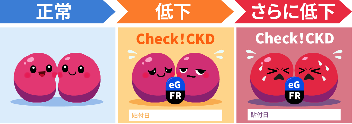 画像: 腎機能の状態を色分けで示すシール（画像はイメージです）