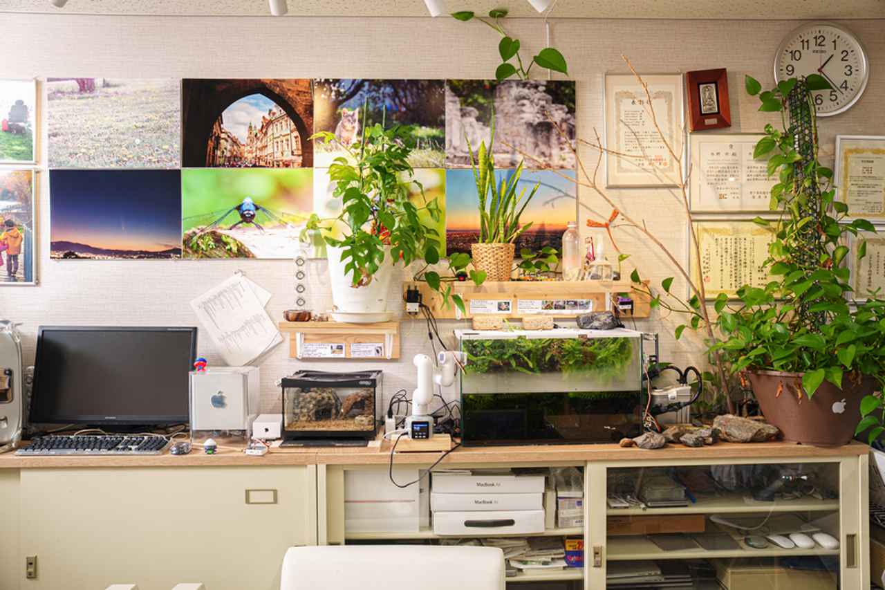 画像: 水野さんの研究室。「ソフトウェア工学の研究室」と聞いて思い浮かぶイメージとはだいぶ異なる。