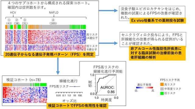 画像: 画像はリリースより