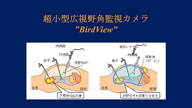 画像: 画像はリリースより