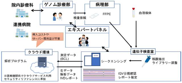 画像: 画像はリリースより
