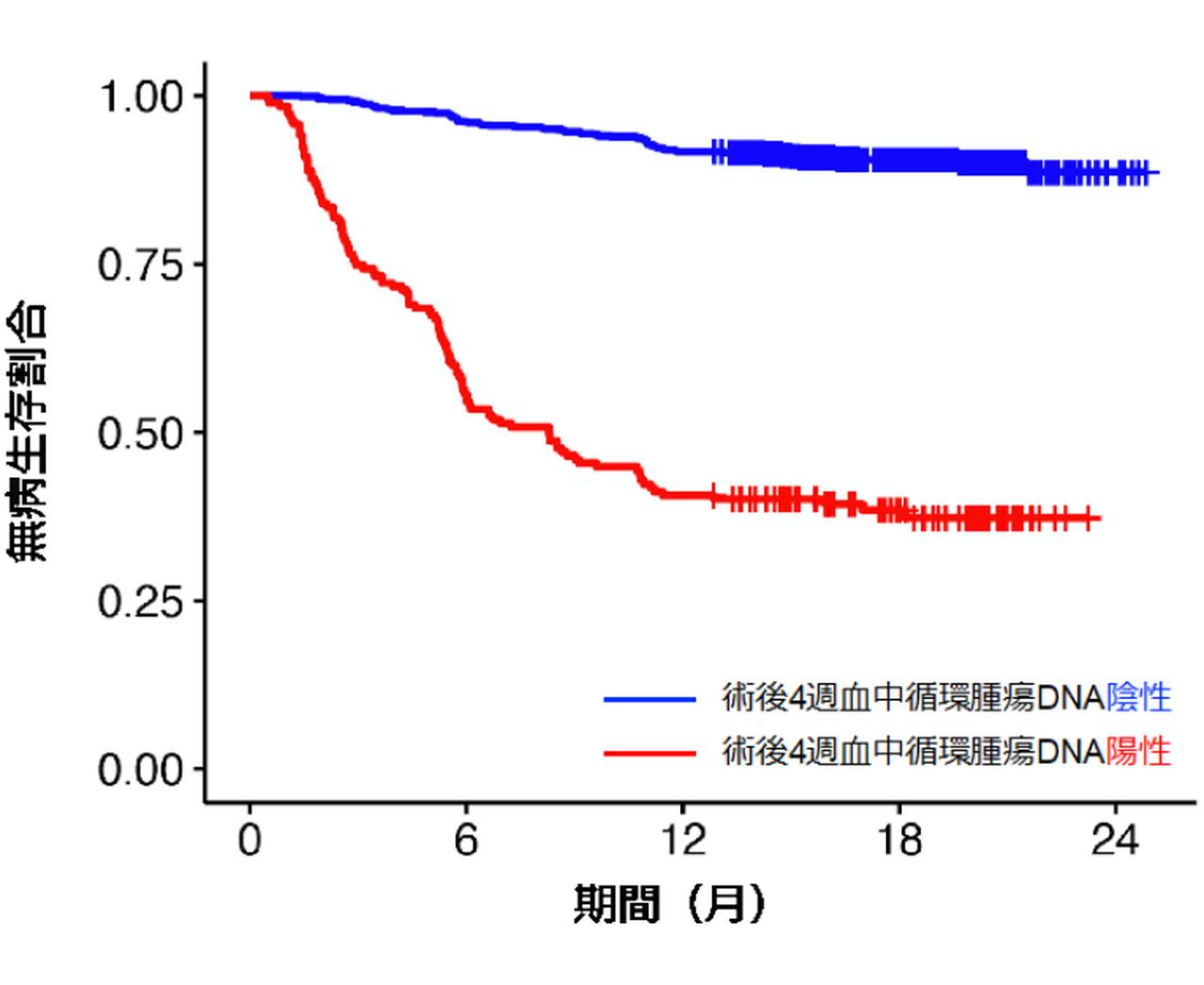 補助化学療法薬