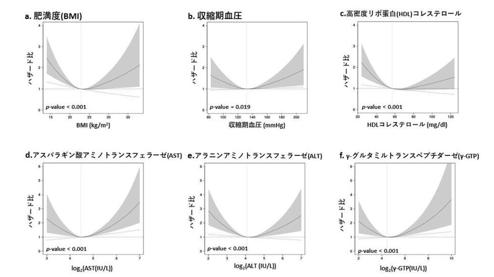 画像: 画像はリリースより