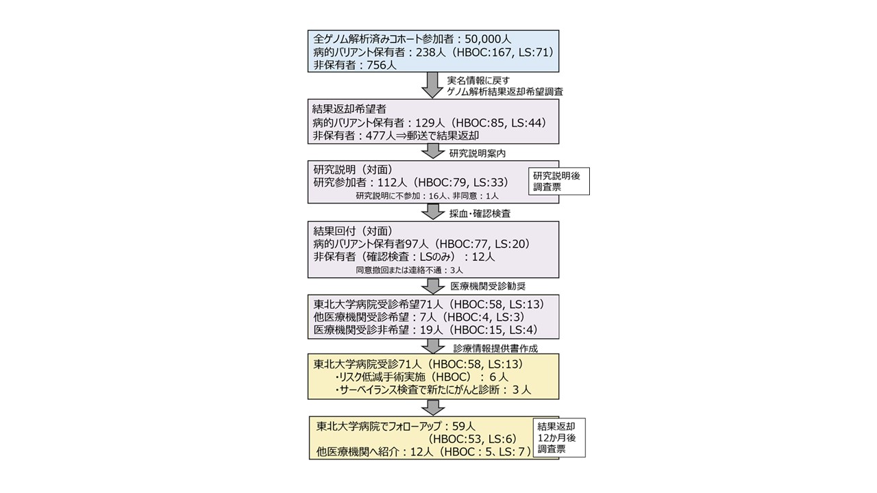 遺伝性がんである遺伝性乳がん卵巣がん症候群・リンチ症候群、リスク