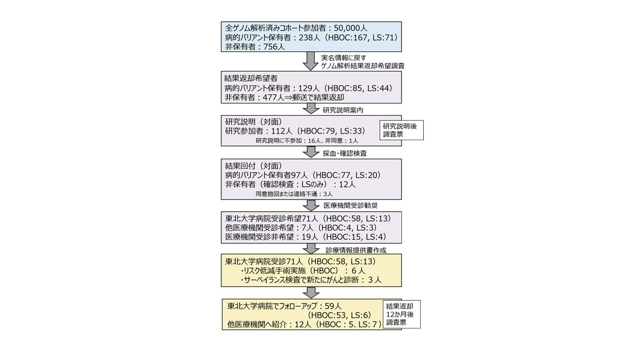 遺伝性がんである遺伝性乳がん卵巣がん症候群・リンチ症候群、リスク保有の一般住民にゲノム解析結果返却－東北大 - Medical meets  Technology | Sysmex
