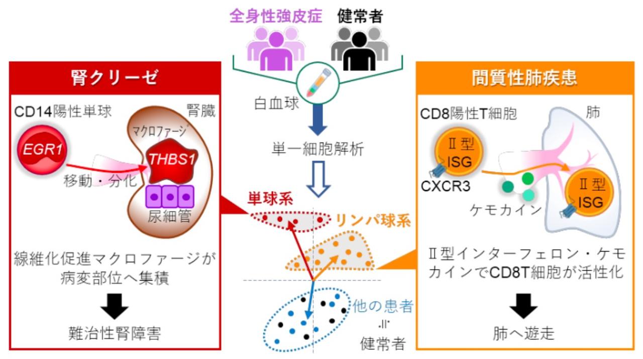 消化管疾患 41a-eOUqHEL._AC_SY200_QL15_.jpg