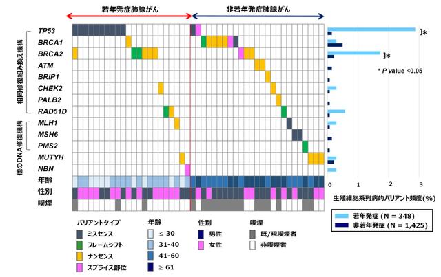 画像: 画像はリリースより