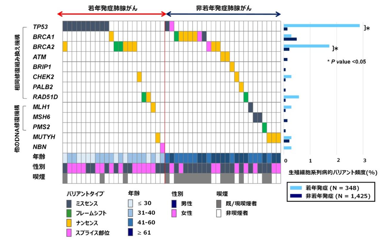 【裁断済】【即日発送】検証コーヌスクローネ :長期経過症例と臨床統計からの再評価 検証コーヌスクローネ 長期経過症例と臨床統計からの再評価/医歯
