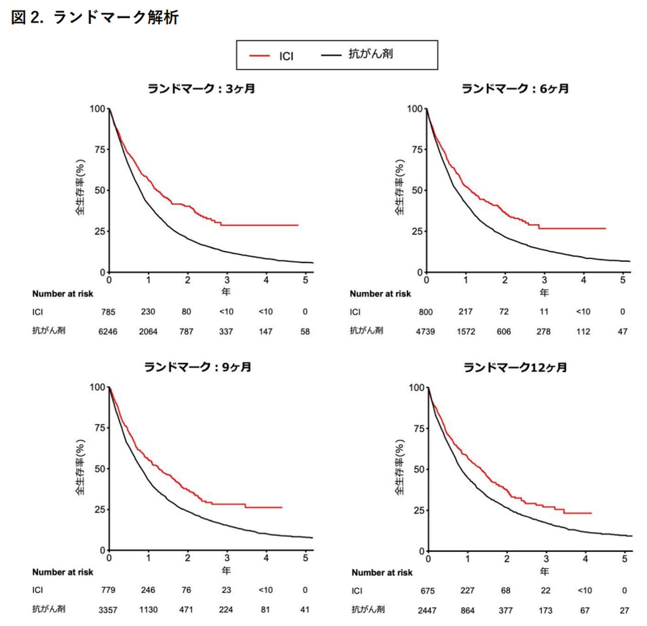 画像: 画像はリリースより
