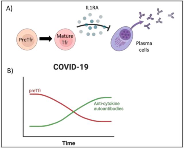 画像: 画像はリリースより