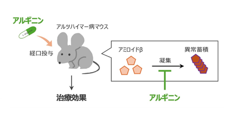 画像: 画像はリリースより