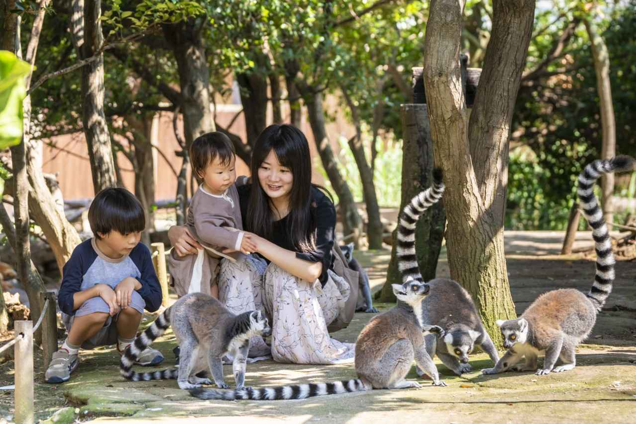 画像3: 【兵庫】動物との距離ゼロ体験ができる「神戸どうぶつ王国」