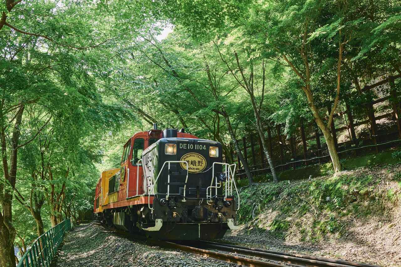 画像1: 【京都】マイナスイオンを浴びてリフレッシュできる「嵯峨野トロッコ列車」