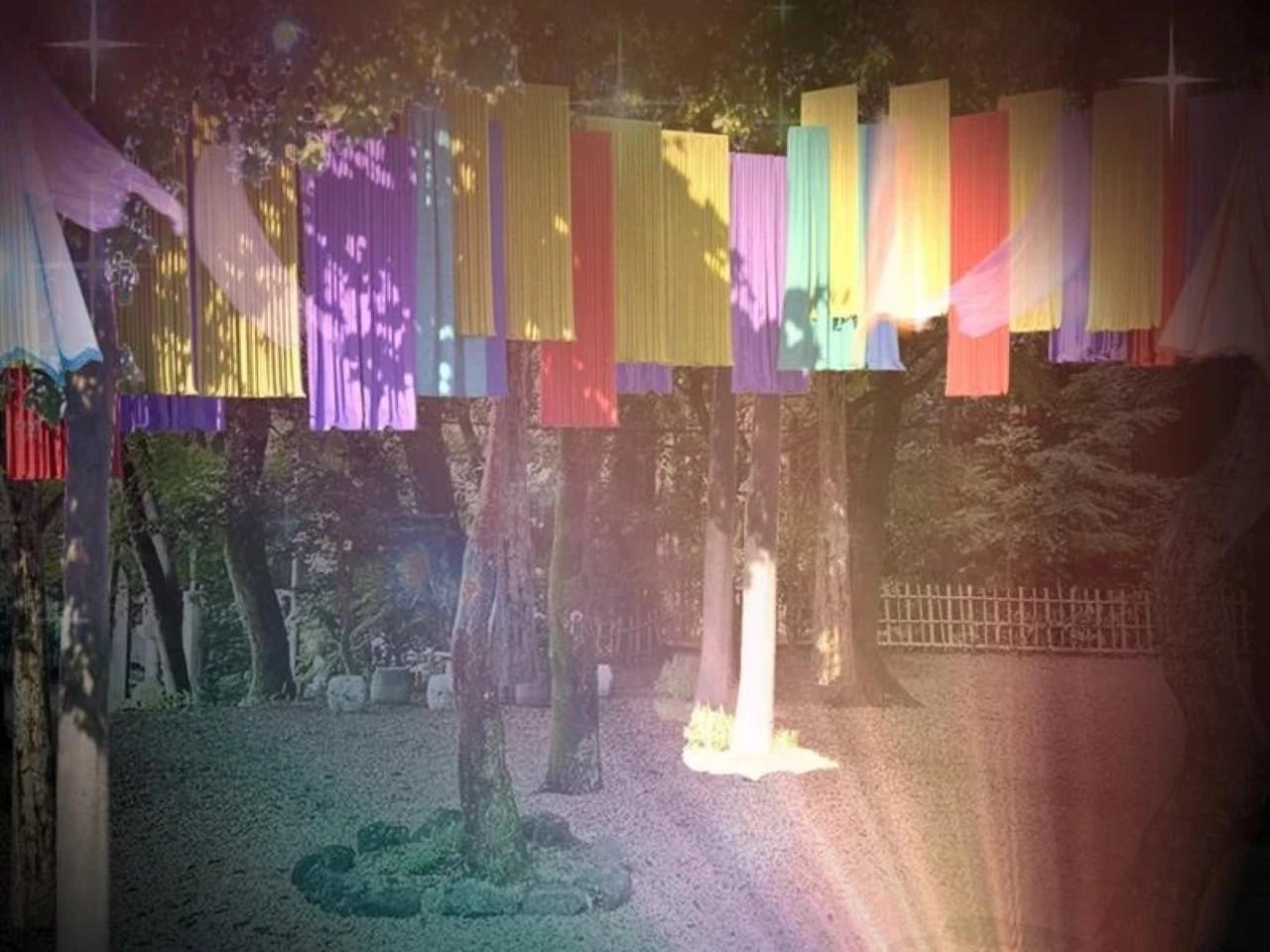 画像6: 【週末どこいく？】特別な思い出に。夏の夜に行くべき関西の注目イベント