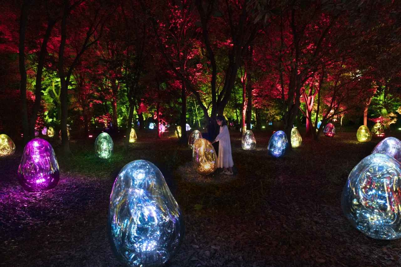 画像4: 【週末どこいく？】特別な思い出に。夏の夜に行くべき関西の注目イベント