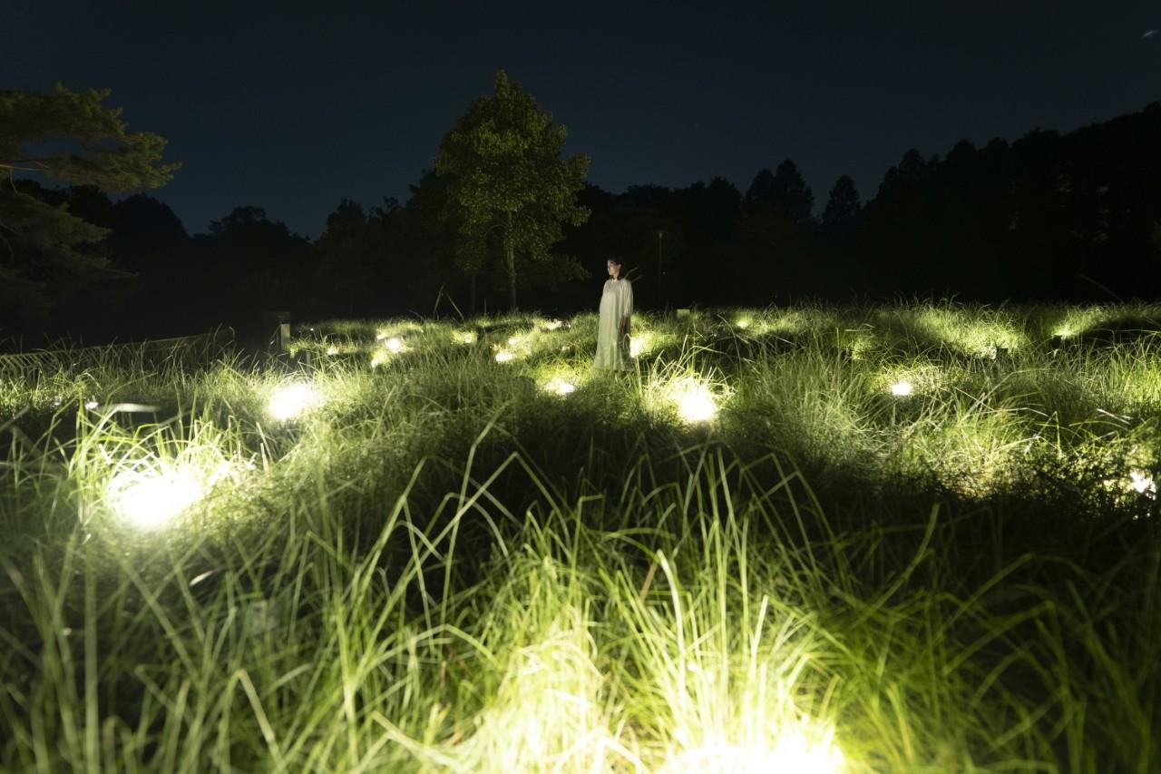 画像3: 【週末どこいく？】特別な思い出に。夏の夜に行くべき関西の注目イベント