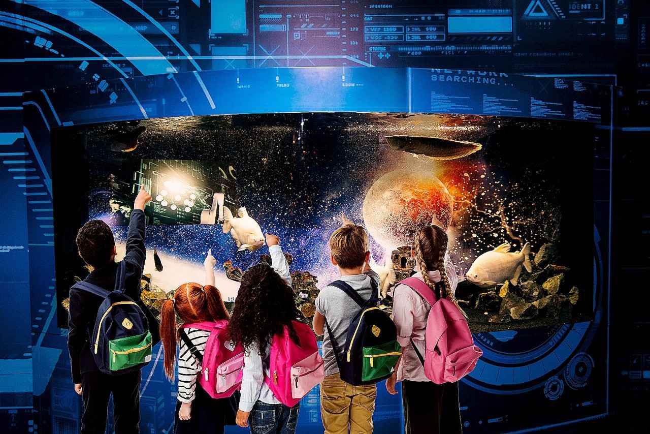 画像2: 宇宙を旅するアクアリウムが誕生！ひらパーに「プラネットアクア・ポート」オープン