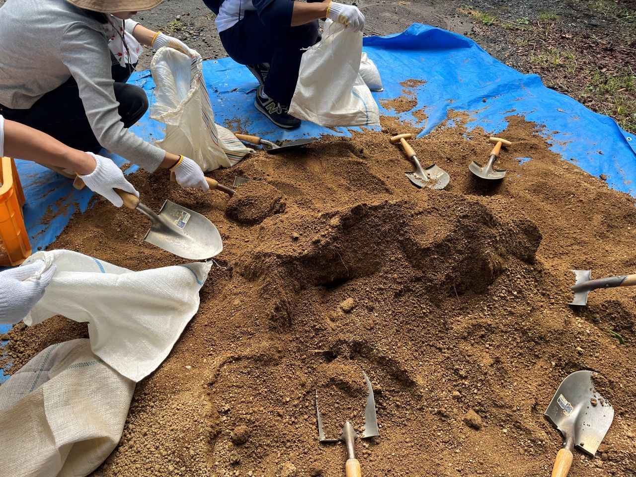 画像2: 世界遺産「紀伊山地の霊場と参詣道」保全活動 第2弾！高野山で道普請ウォークを実施