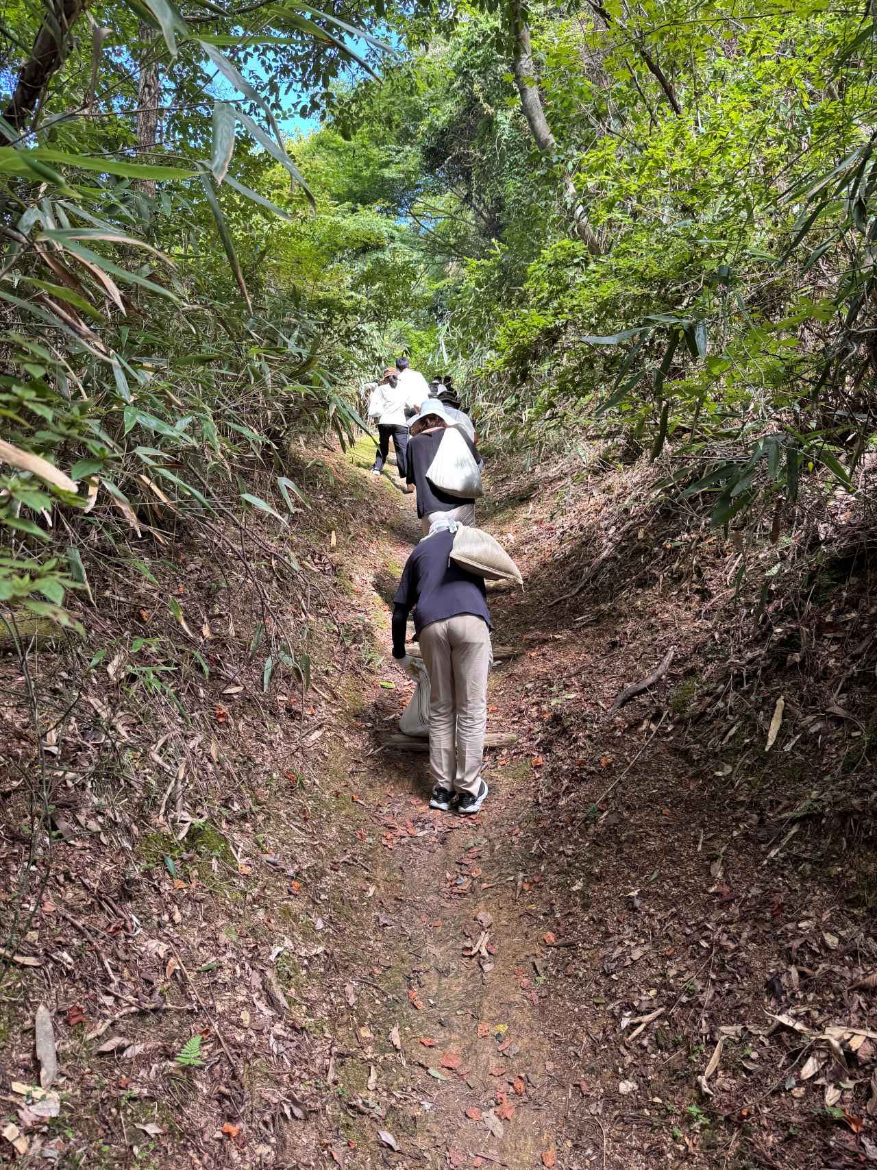 画像4: 世界遺産「紀伊山地の霊場と参詣道」保全活動 第2弾！高野山で道普請ウォークを実施