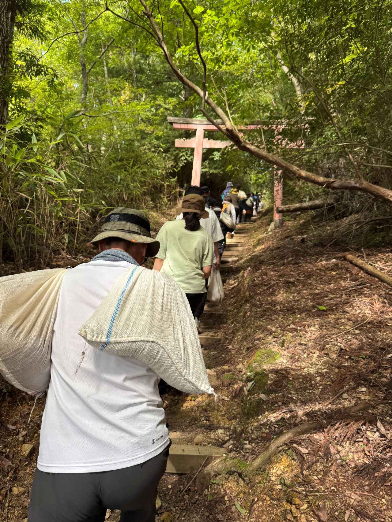 画像3: 世界遺産「紀伊山地の霊場と参詣道」保全活動 第2弾！高野山で道普請ウォークを実施