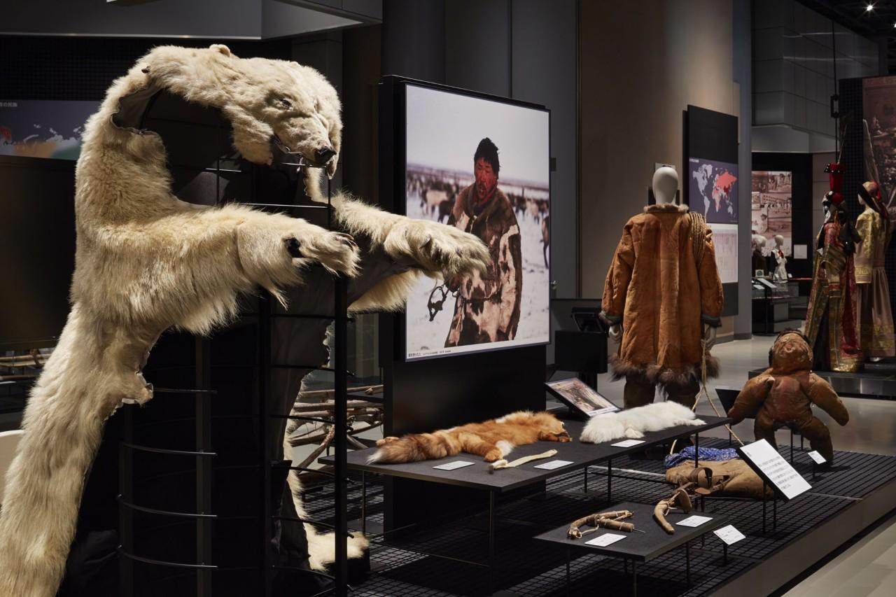 画像: 「中央・北アジア」ゾーン