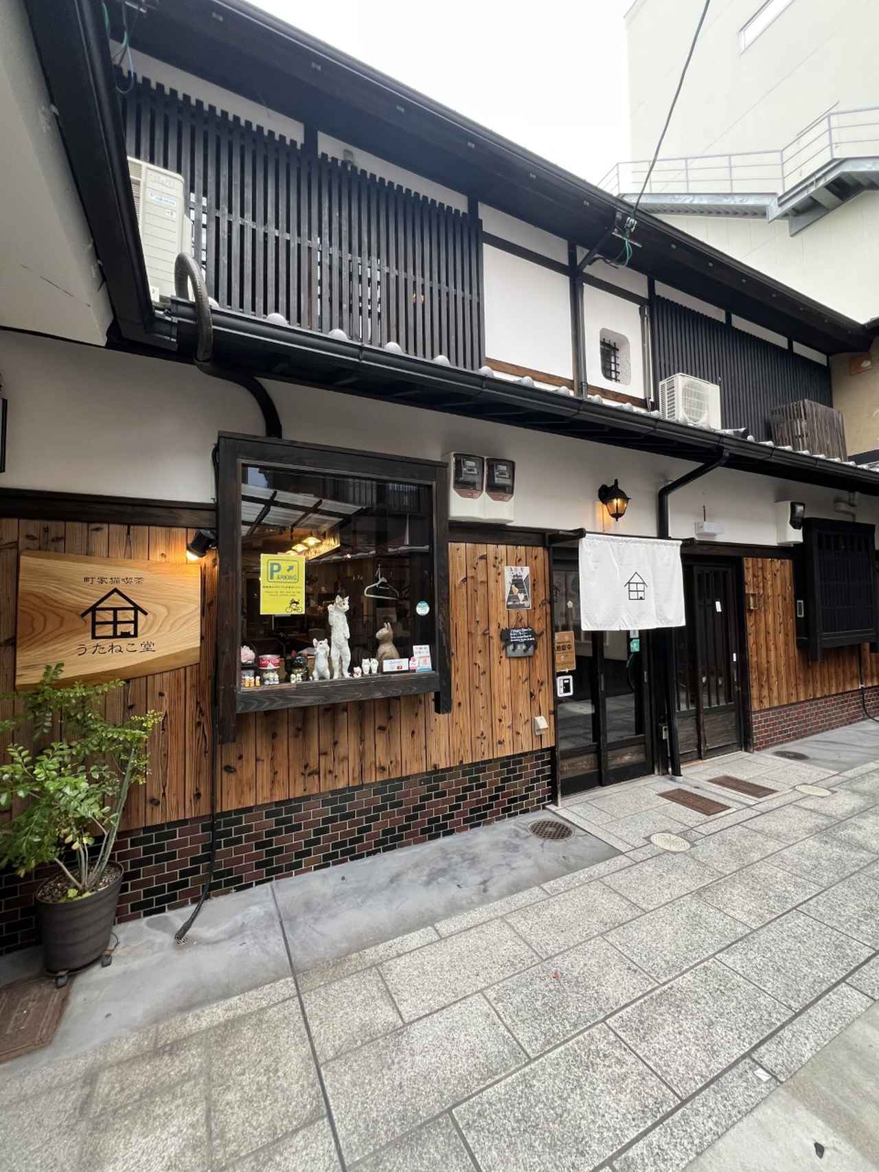 画像1: ⑦町家猫喫茶 うたねこ堂|町家の静かな時間、猫と共に心を癒す