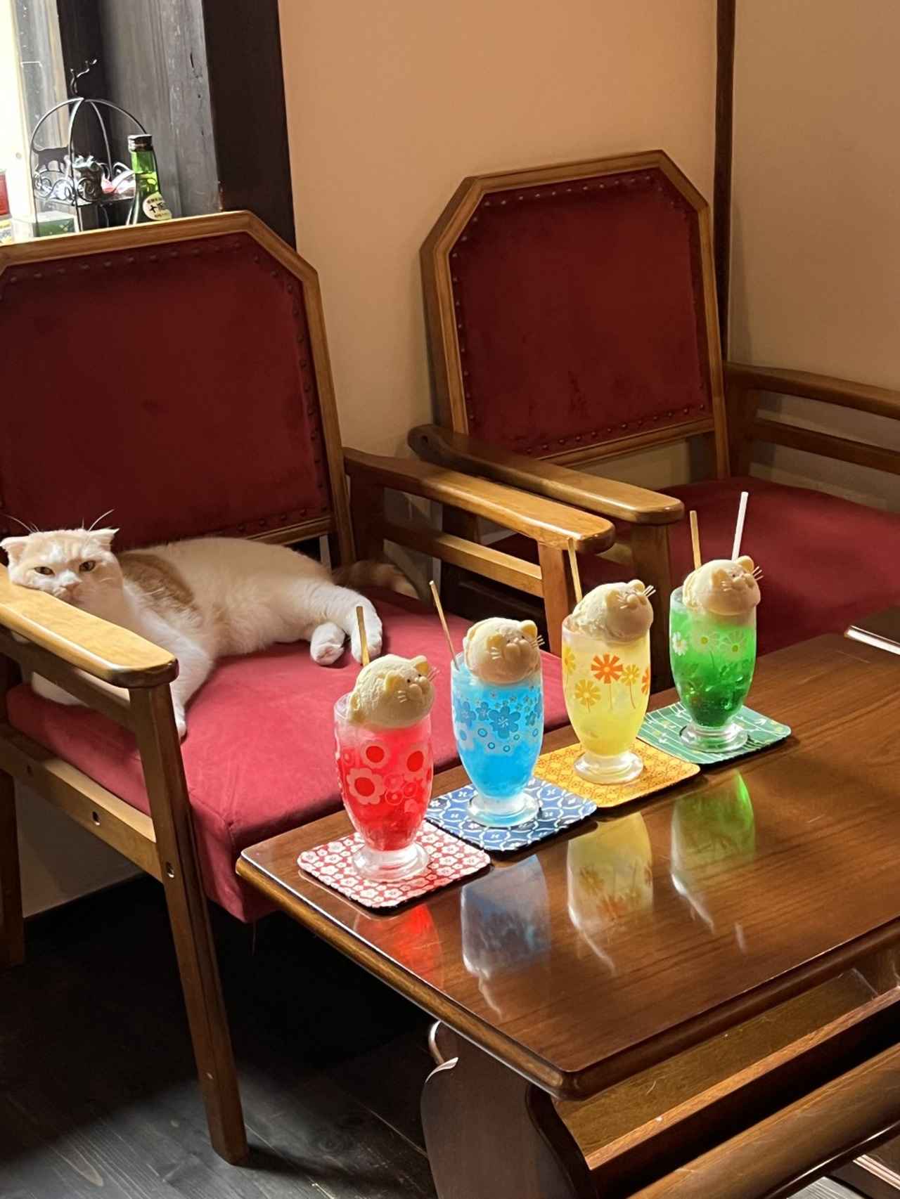 画像2: ⑦町家猫喫茶 うたねこ堂|町家の静かな時間、猫と共に心を癒す