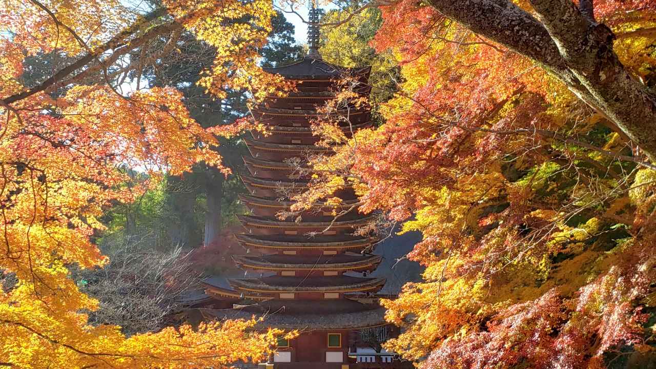 画像2: 提供:談山神社