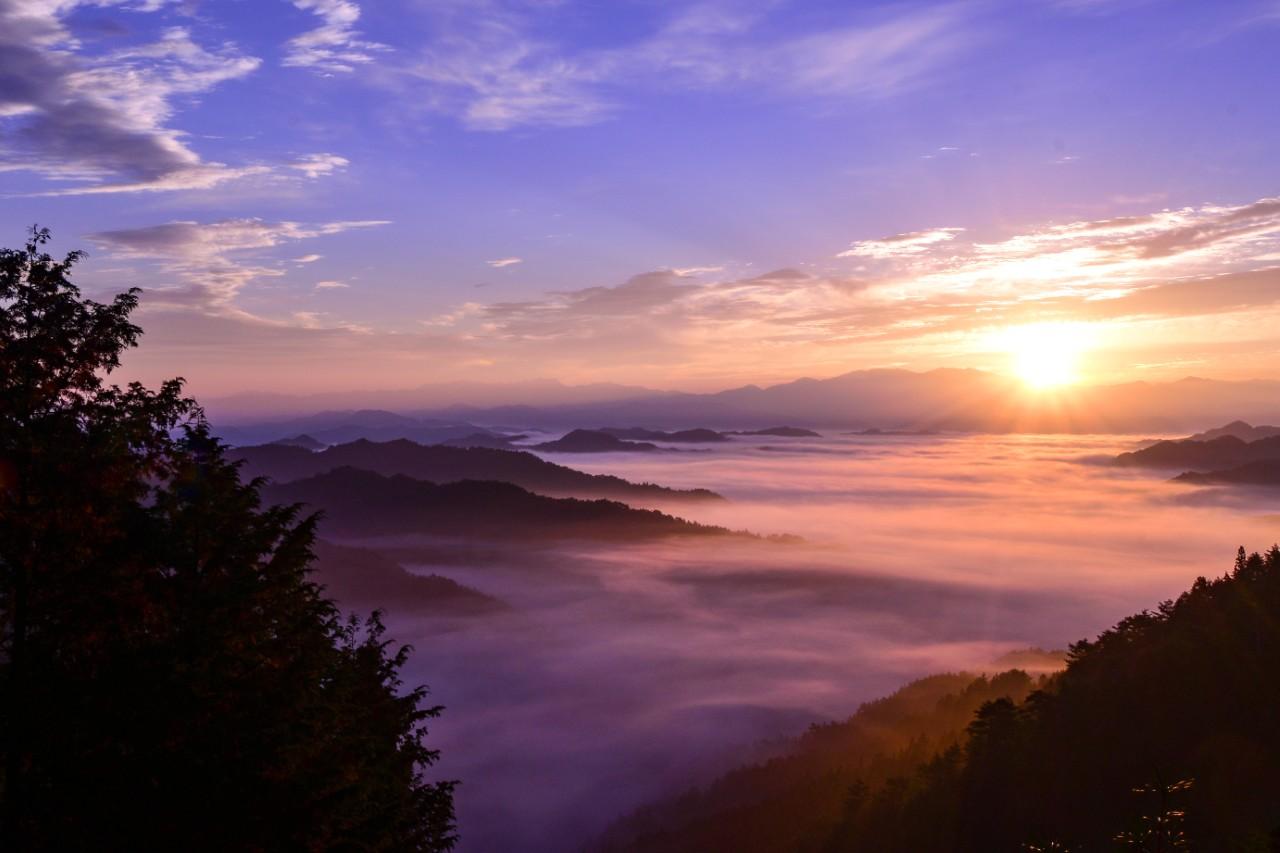画像: ⑤野迫川村の雲海|山深くに現れる、幻想の景色